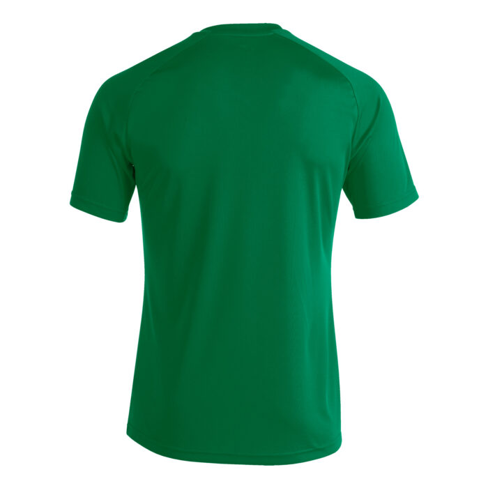 CAMISETA MANGA CORTA PISA II VERDE NEGRO