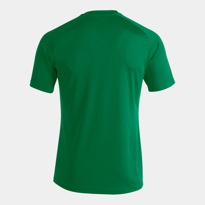 CAMISETA MANGA CORTA PISA II VERDE BLANCO